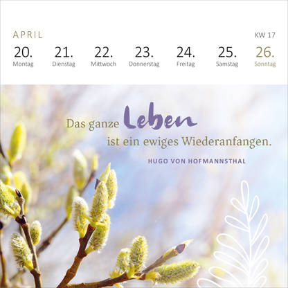 Gezeigt wird eine Innen- oder Zusatzansicht von „Mini-Wochenkalender Ein Jahr voll Glück 2026“. Die Ansicht zeigt den April mit dem Hinweis auf die KW 17. Oben sind die Wochentage in grauer Schrift auf weißem Hintergrund angeordnet. Der zentrale Bereich enthält den inspirierenden Spruch „Das ganze Leben ist ein ewiges Wiederanfangen“ in lila und grauen Schriftarten. Unter dem Zitat befindet sich der Name des Autors in dezenter, kleiner Schrift. Im Hintergrund sind sanfte, unscharfe...