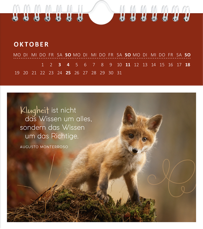 Gezeigt wird eine Innen- oder Zusatzansicht von „Wandkalender Süße Tierkinder 2026“. Im oberen Bereich ist ein dunkelroter Hintergrund mit dem Monat „OKTOBER“ in weißer Schrift. Darunter befindet sich das Bild eines jungen Fuchses, der auf einem Baumstamm steht, umgeben von herbstlichen Blättern. Rechts neben dem Fuchs steht der Spruch „Klugheit ist nicht das Wissen um alles, sondern das Wissen um das Richtige.“ in weicher Schrift. Die Farben sind warm und einladend, die...
