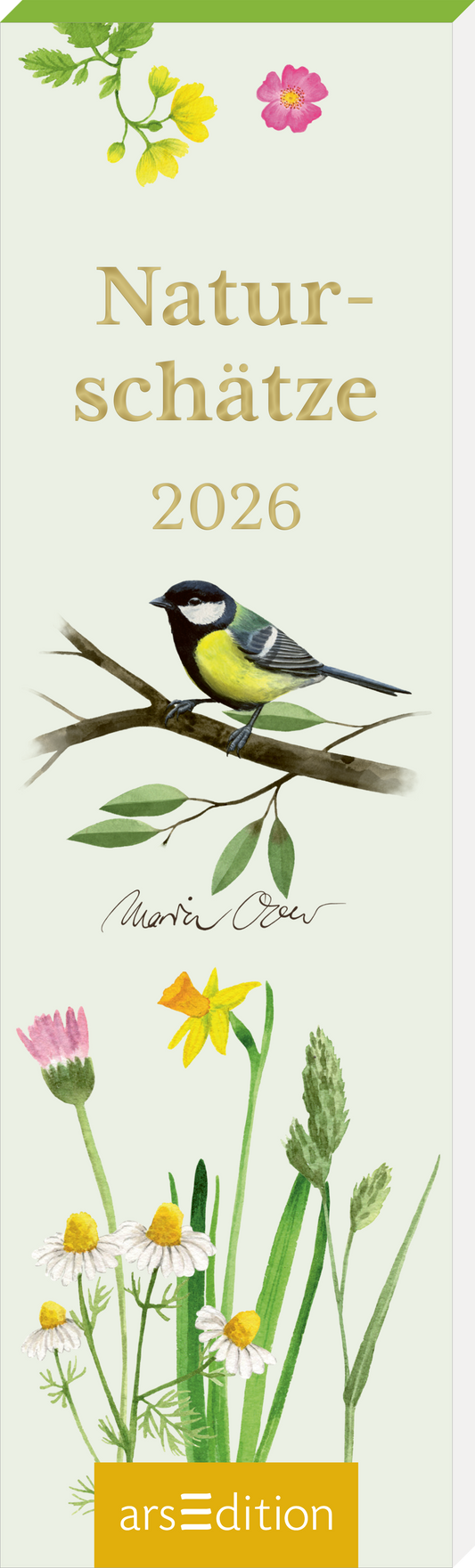 Das Cover zeigt einen zarten, hellgrünen Hintergrund. In der Mitte thront der Titel „Naturschätze“ in eleganter, goldener Schrift, gefolgt von der Jahreszahl „2026“. Links ist ein fein gezeichneter, bunter Vogel auf einem Zweig abgebildet. Am unteren Rand sind verschiedene, stilisierte Wildblumen in sanften Farben dargestellt. Ganz unten mittig steht der Logoschriftzug von arsEdition.