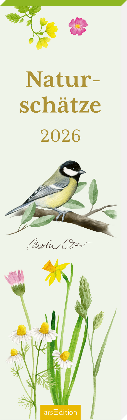 Das Cover zeigt einen zarten, hellgrünen Hintergrund. In der Mitte thront der Titel „Naturschätze“ in eleganter, goldener Schrift, gefolgt von der Jahreszahl „2026“. Links ist ein fein gezeichneter, bunter Vogel auf einem Zweig abgebildet. Am unteren Rand sind verschiedene, stilisierte Wildblumen in sanften Farben dargestellt. Ganz unten mittig steht der Logoschriftzug von arsEdition.