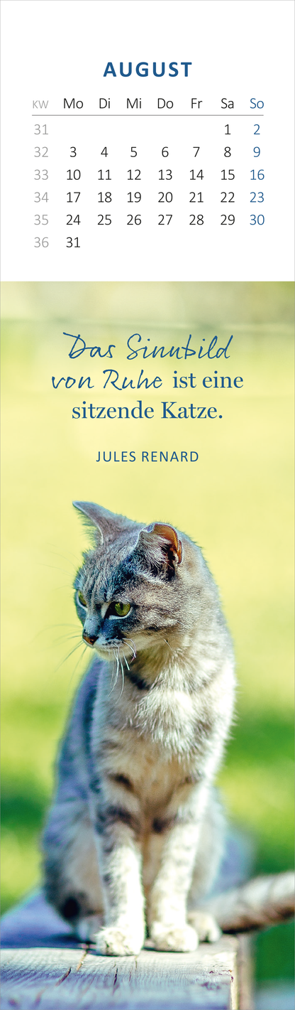 Gezeigt wird eine Innen- oder Zusatzansicht von „Lesezeichenkalender Katzenglück 2026“. Der Kalender zeigt im August eine hochwertige Abbildung einer sitzenden Katze auf einem sanften, grünen Hintergrund. Darüber steht der Monat „AUGUST“ in klaren, blauen Großbuchstaben. Darunter befindet sich das Zitat „Das Sinnbild von Ruhe ist eine sitzende Katze“ in eleganter, geschwungener Schrift. Die Gesamtkomposition strahlt eine harmonische und beruhigende Atmosphäre aus.