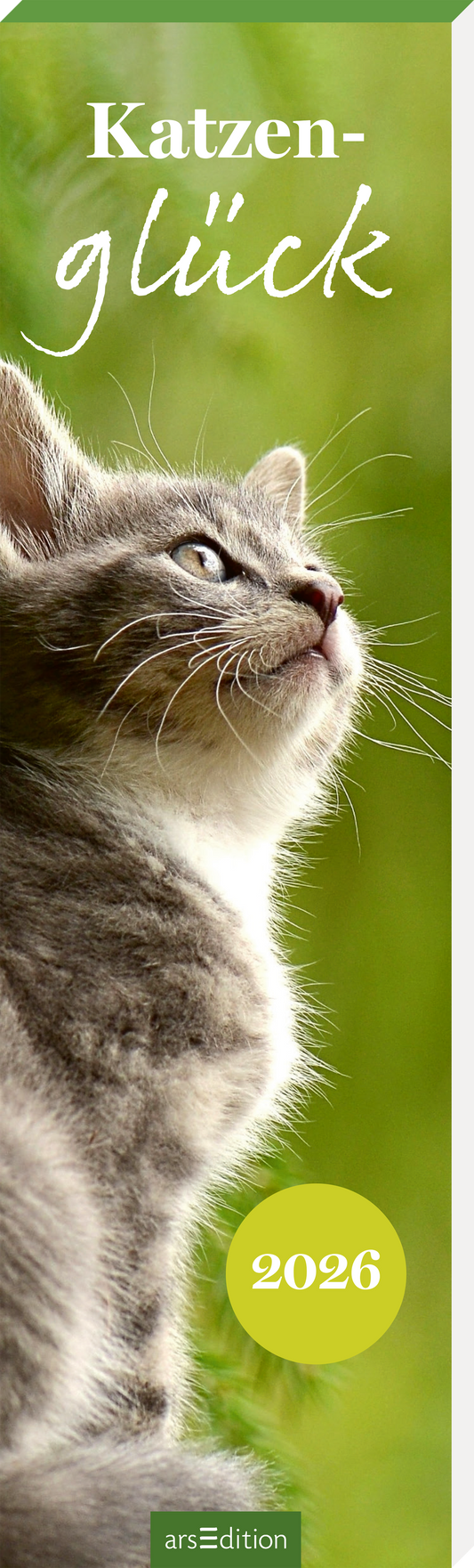 Das Buchcover zeigt eine graue Katze, die neugierig nach oben blickt. Der Hintergrund ist in sanften Grüntönen gehalten, die eine natürliche und beruhigende Atmosphäre schaffen. Der Titel „Katzen- glück“ ist in verspielter, heller Schriftart in der oberen Hälfte des Covers platziert. Unterhalb der Katze befindet sich das Jahr „2026“ in einer runden, gelben Schrift. Ganz unten mittig steht der Logoschriftzug von arsEdition.