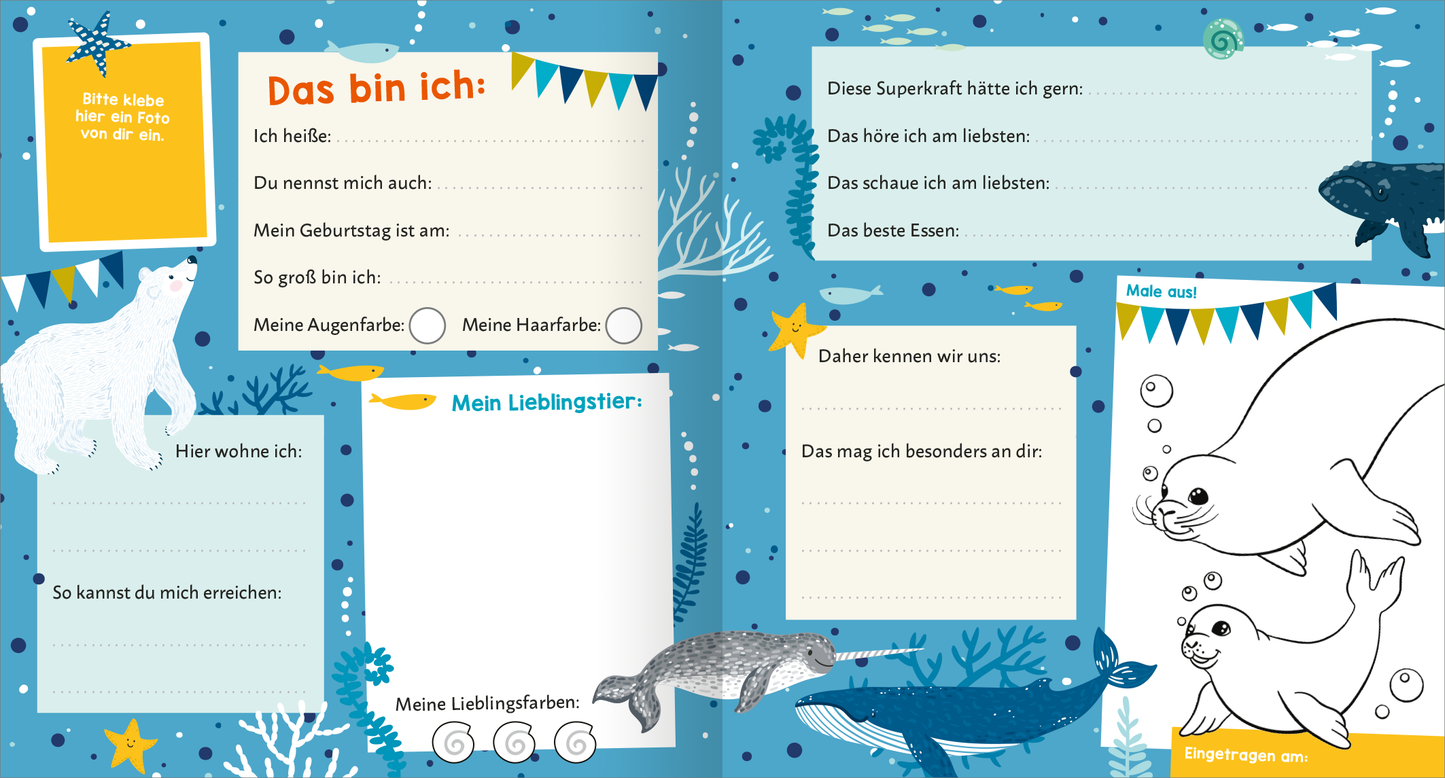 Gezeigt wird eine Innen- oder Zusatzansicht von „Meine Freunde – Meer“. Die Seite ist in sanften Blau- und Aquatönen gestaltet und zeigt verschiedene Meerestiere wie Robben und Wale. Auf der linken Seite befinden sich leere Textfelder mit der Überschrift „Das bin ich“, wo persönliche Informationen eingetragen werden können. Die Typografie ist klar und kindgerecht, ergänzt durch bunte Wimpel und maritime Illustrationen, die eine einladende Atmosphäre schaffen.