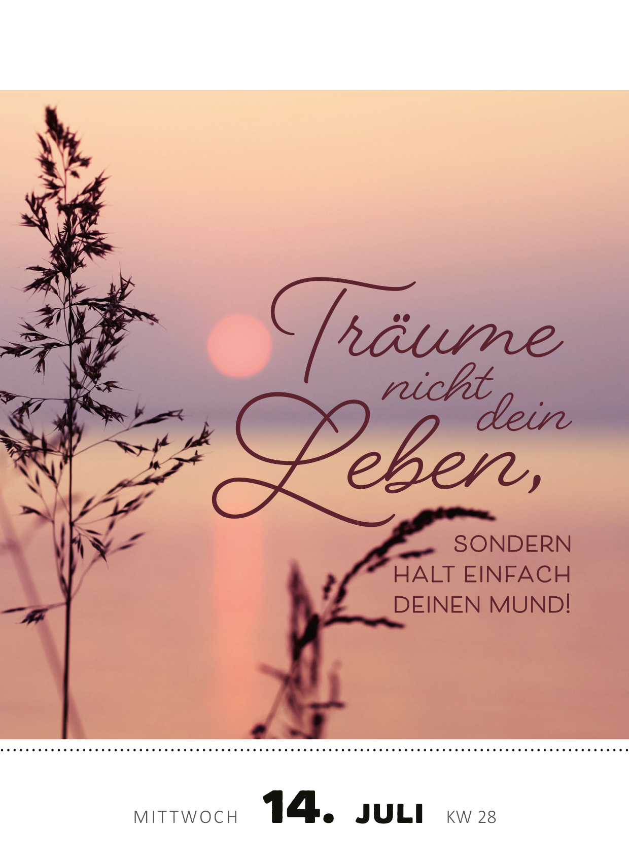 Gezeigt wird eine Innen- oder Zusatzansicht von „Abreißkalender Die Bar hat angerufen &amp; gefragt, wo du bleibst! 2027“. Die Gestaltung zeigt einen sanften Farbverlauf in rosa und orange, der den Sonnenuntergang simuliert. Im Vordergrund sind zarte Pflanzen abgebildet. Die zentrale Schrift lautet „Träume nicht dein Leben,“ in einer eleganten, geschwungenen Schriftart. Darunter steht in klarer, grafischer Typografie „SONDERN HALT EINFACH DEINEN MUND!“ Die Datumsangabe ist...