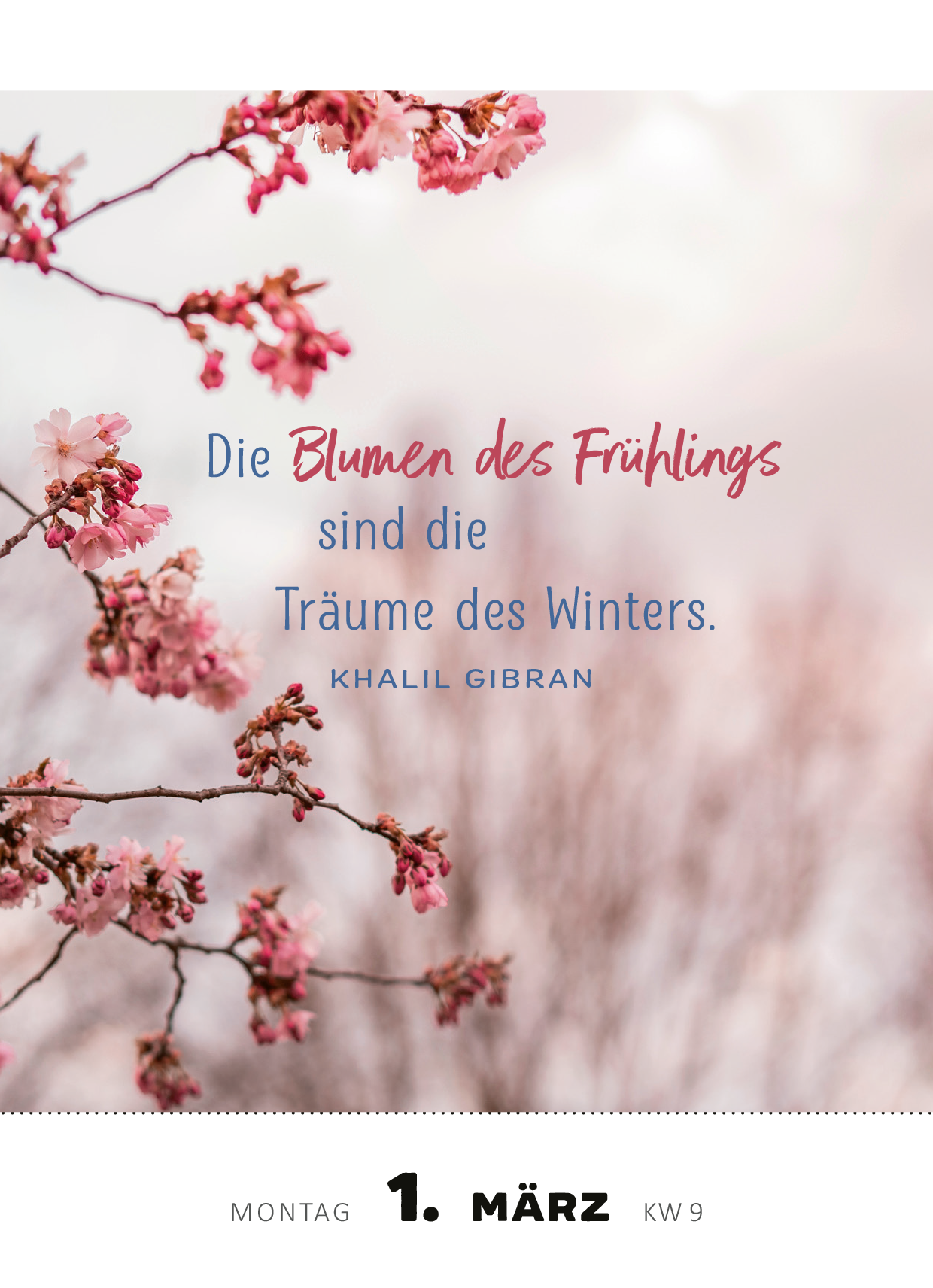 Gezeigt wird eine Innen- oder Zusatzansicht von „Abreißkalender Achtsamkeit für dich 2027“. Die Abbildung zeigt zarte, blühende Kirschzweige auf einem unscharfen, pastellfarbenen Hintergrund. Die zentrale Botschaft in kräftigem Rot und sanftem Blau lautet: „Die Blumen des Frühlings sind die Träume des Winters. Khalil Gibran.“ Unterhalb des Textes sind der Wochentag sowie die Kalenderwoche in klarer, gut lesbarer Typografie platziert.