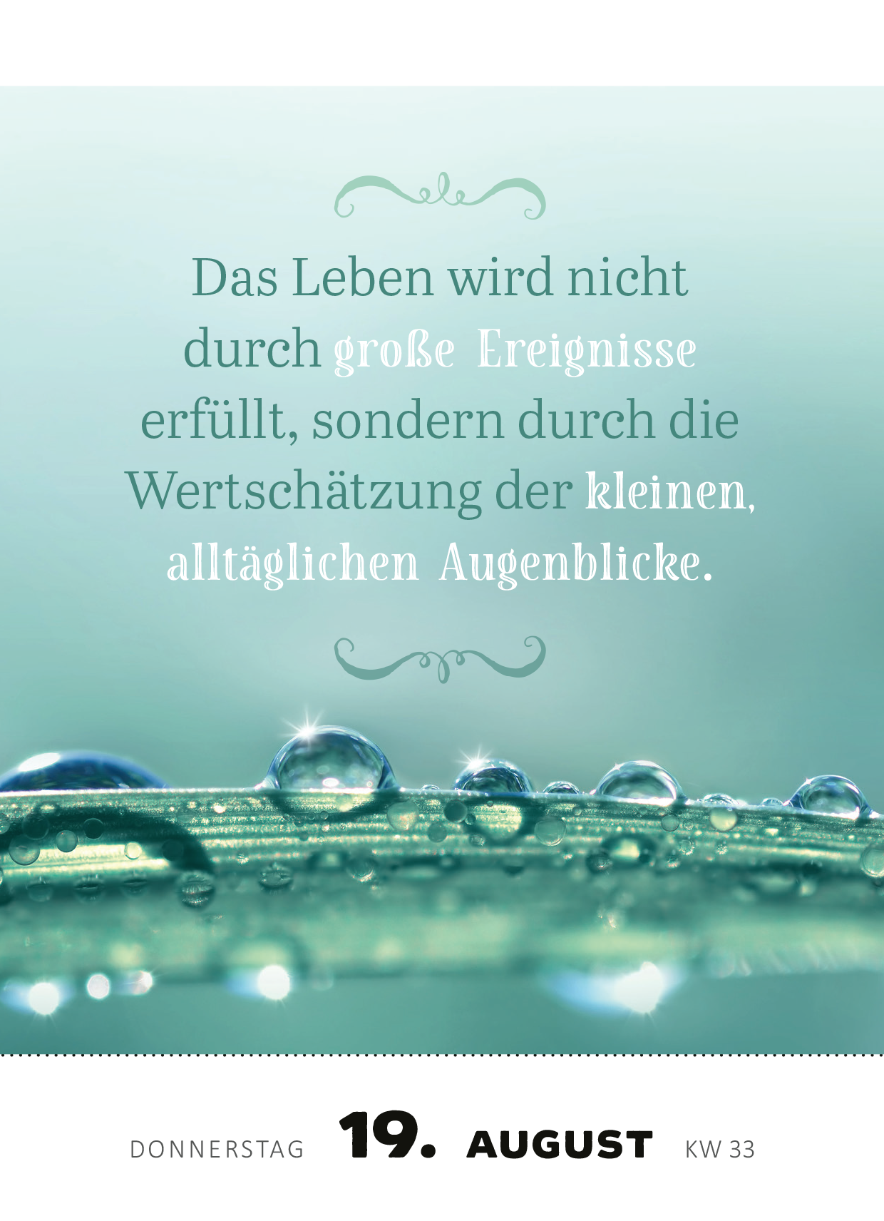 Gezeigt wird eine Innen- oder Zusatzansicht von „Abreißkalender Achtsamkeit für dich 2027“. Die Ansicht zeigt eine sanfte grünliche Hintergründe, die mit Wassertropfen versehen ist. In ansprechender, geschwungener Typografie steht der Satz: „Das Leben wird nicht durch große Ereignisse erfüllt, sondern durch die Wertschätzung der kleinen, alltäglichen Augenblicke.“ Unten befindet sich der Tagesname „Donnerstag“, das Datum „19. August“ und die Kalenderwoche „KW 33“.