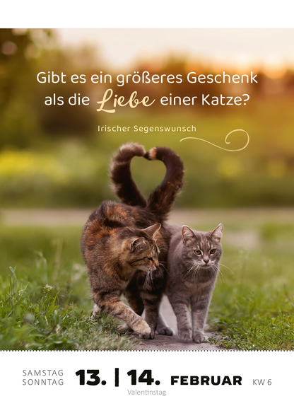 Gezeigt wird eine Innen- oder Zusatzansicht von „Abreißkalender Katzenweisheiten 2027“. Der Kalender präsentiert eine liebevolle Illustration von zwei Katzen, die im Grünen spazieren. Über dem Bild steht der Spruch „Gibt es ein größeres Geschenk als die Liebe einer Katze?“ in eleganter, verspielter Schrift. Ein geschwungener Zusatztext verweist auf einen „Irischen Segenswunsch“. Die Kalenderdaten sind in klarer, gut lesbarer Typografie in warmen Farbtönen.