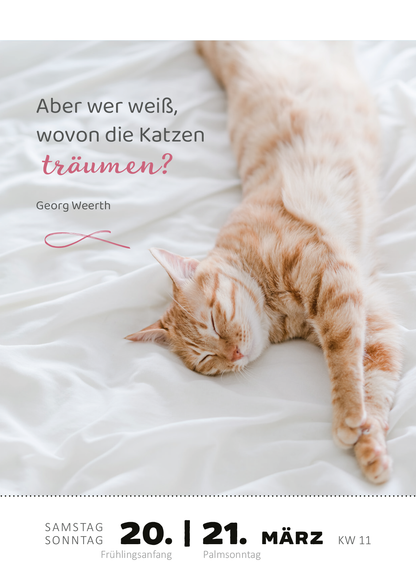 Gezeigt wird eine Innen- oder Zusatzansicht von „Abreißkalender Katzenweisheiten 2027“. Im Vordergrund ist ein gemütlich liegender, orangefarbener Kater abgebildet, der auf einer weißen Bettwäsche ruht. Über ihm steht in eleganter Schrift der Spruch: „Aber wer weiß, wovon die Katzen träumen?“ von Georg Weerth in rosa und grauer Typografie. Das Datum im unteren Bereich wird klar und übersichtlich in schwarz dargestellt, ergänzt durch die Wochentage und eine Monatsüberschrift.