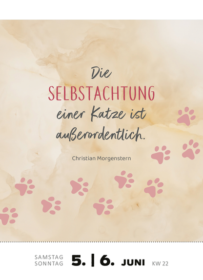 Gezeigt wird eine Innen- oder Zusatzansicht von „Abreißkalender Katzenweisheiten 2027“. Der Hintergrund ist in sanften, hellen Erdtönen gehalten, während der Text in einer Mischung aus kräftigem Rot für „SELBSTSTACHTUNG“ und elegantem Schwarz für den restlichen Spruch gestaltet ist. Die Schriftarten sind verschnörkelt und modern. Am unteren Rand sind die Wochentage und das Datum klar und übersichtlich in einer schlichten, modernen Schriftart abgebildet. Rosa Pfotenabdrücke...
