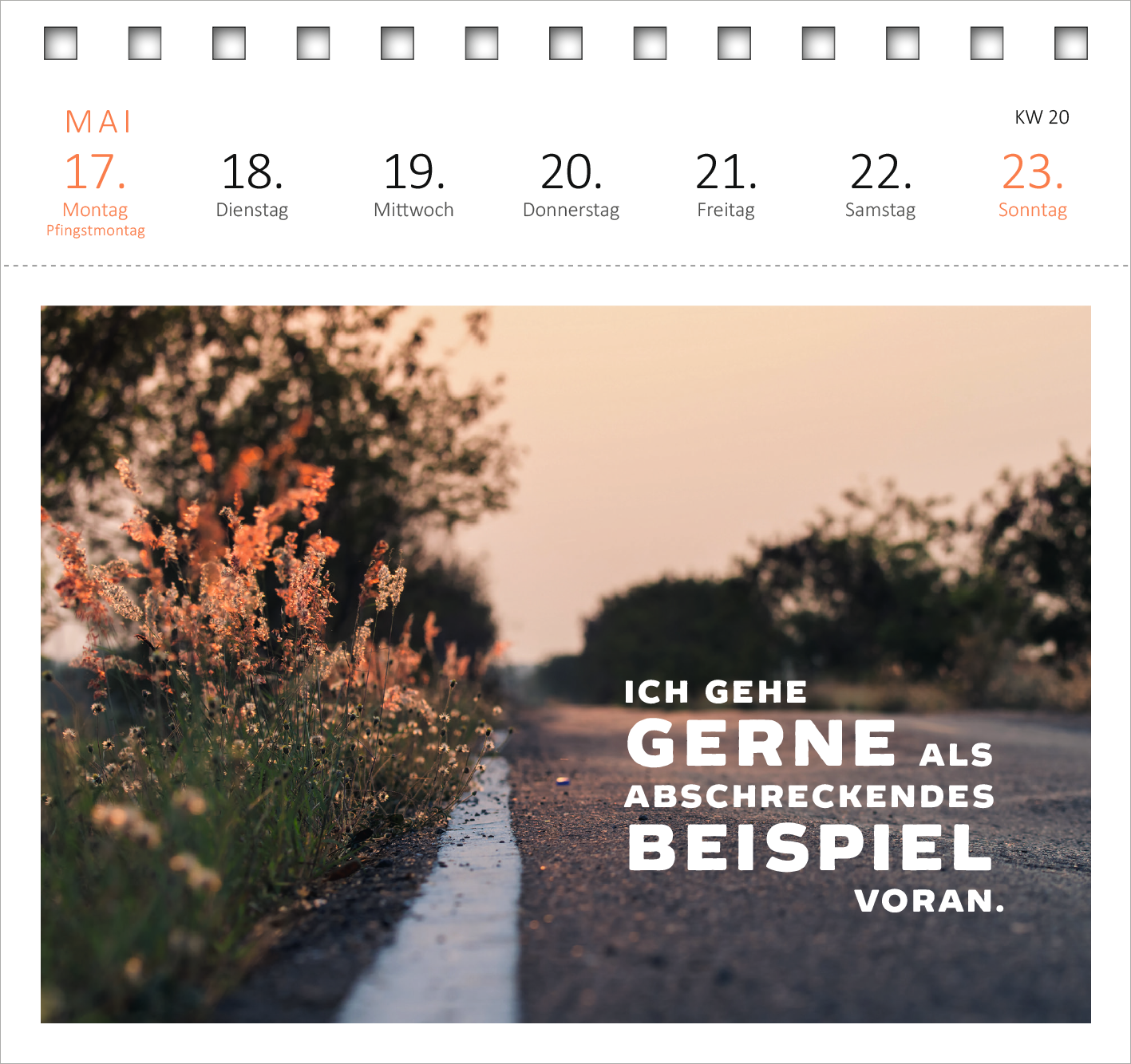Gezeigt wird eine Innen- oder Zusatzansicht von „Postkartenkalender Vom Rande des Wahnsinns aus kenne ich den Weg, danke. 2027“. Der Kalender zeigt einen hellen Hintergrund mit zarten, blühenden Pflanzenrand und einem verschwommenen Weg. Die zentrale Typografie in großem, fettem Schriftzug dominiert die Fläche: „ICH GEHE GERNE ALS ABSCHRECKENDES BEISPIEL VORAN.“ Die Monatsangabe und Wochentage sind in klarer, moderner Schrift gehalten.