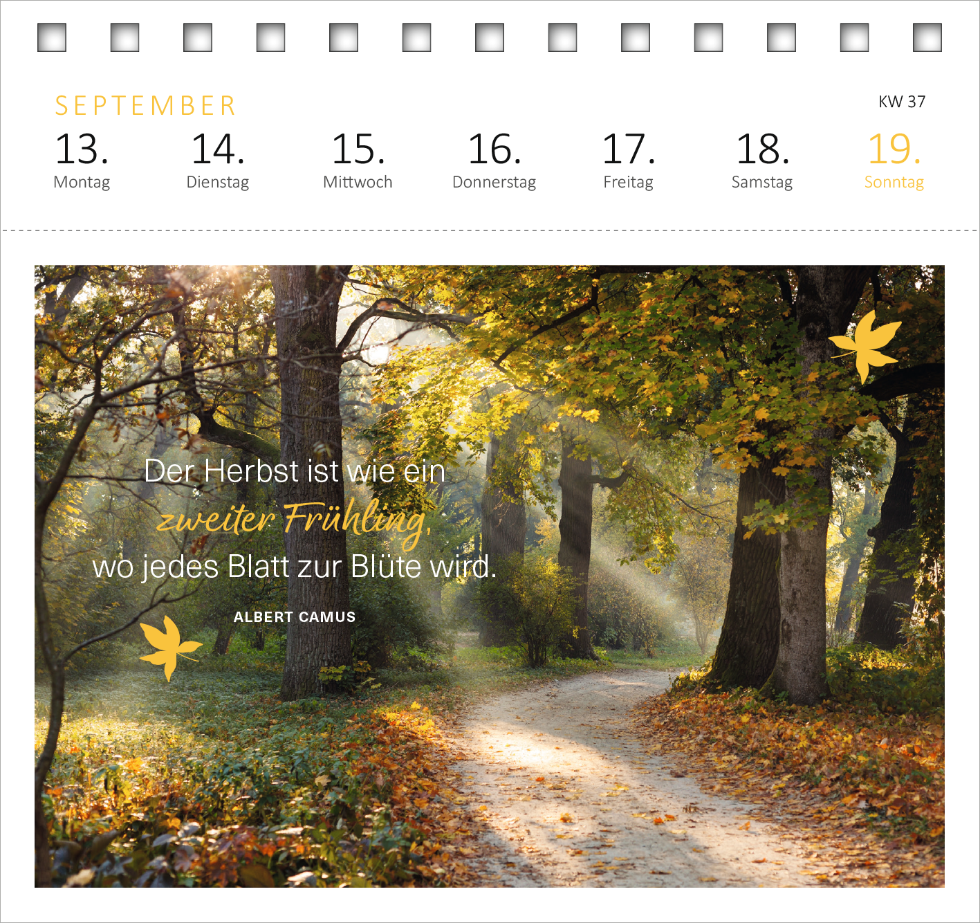 Gezeigt wird eine Innen- oder Zusatzansicht von „Postkartenkalender 365 Tage Achtsamkeit 2027“. Die Seite zeigt eine herbstliche Waldszene mit leuchtenden gelben und orangefarbenen Blättern. Ein Zitat von Albert Camus, geschrieben in eleganter, geschwungener Schrift, betont den Text: „Der Herbst ist wie ein zweiter Frühling, wo jedes Blatt zur Blüte wird.“ Die Wochentage sind in klarer, gut lesbarer Typografie am oberen Rand angeordnet, ergänzt durch eine sanfte, harmonische...