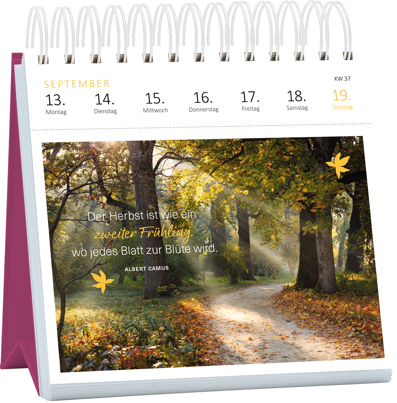 Gezeigt wird eine Innen- oder Zusatzansicht von „Postkartenkalender 365 Tage Achtsamkeit 2027“. Die Seite für den Monat September präsentiert ein sanftes Herbstmotiv mit einem lichtdurchfluteten Weg durch einen Wald. In warmen Gelb- und Brauntönen gehalten, ergänzt von einer stilisierten, gelben Blattform. Der inspirierende Text von Albert Camus hebt sich in einer gut lesbaren, eleganten Schrift ab und beschreibt den Herbst als „zweiten Frühling“. Die Kalenderdaten sind...