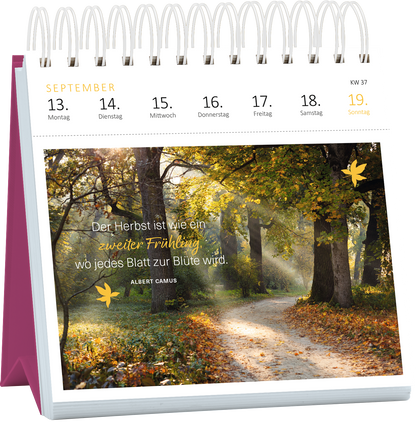 Gezeigt wird eine Innen- oder Zusatzansicht von „Postkartenkalender 365 Tage Achtsamkeit 2027“. Die Seite für den Monat September präsentiert ein sanftes Herbstmotiv mit einem lichtdurchfluteten Weg durch einen Wald. In warmen Gelb- und Brauntönen gehalten, ergänzt von einer stilisierten, gelben Blattform. Der inspirierende Text von Albert Camus hebt sich in einer gut lesbaren, eleganten Schrift ab und beschreibt den Herbst als „zweiten Frühling“. Die Kalenderdaten sind...