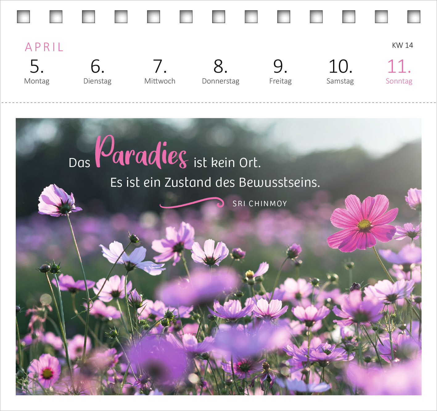 Gezeigt wird eine Innen- oder Zusatzansicht von „Postkartenkalender 365 Tage Gelassenheit 2027“. Die Ansicht zeigt eine blühende Wiese mit einem Zitat in eleganter, geschwungener Typografie. Der Text „Das Paradies ist kein Ort. Es ist ein Zustand des Bewusstseins.“ ist in dunklem Grau und zartem Rosé gehalten. Der Hintergrund ist in sanften, pastellfarbenen Tönen gehalten, mit zahlreichen blühenden, bunten Blumen, die eine einladende und beruhigende Atmosphäre schaffen. Oben sind...