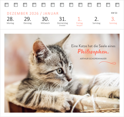Gezeigt wird eine Innen- oder Zusatzansicht von „Postkartenkalender Katzenweisheiten 2027“. Die Darstellung zeigt einen niedlichen, grauen Kätzchenkopf auf einem hellen Hintergrund. Darunter steht in verspielter Schrift: „Eine Katze hat die Seele eines Philosophen.“ in einer sanften rosafarbenen Typografie, gefolgt von „ARTHUR SCHOPENHAUER“ in schlichter, eleganter Schrift. Oben befinden sich die Monatsüberschrift „DEZEMBER 2026 / JANUAR“ sowie die Wochentage in einer klaren,...