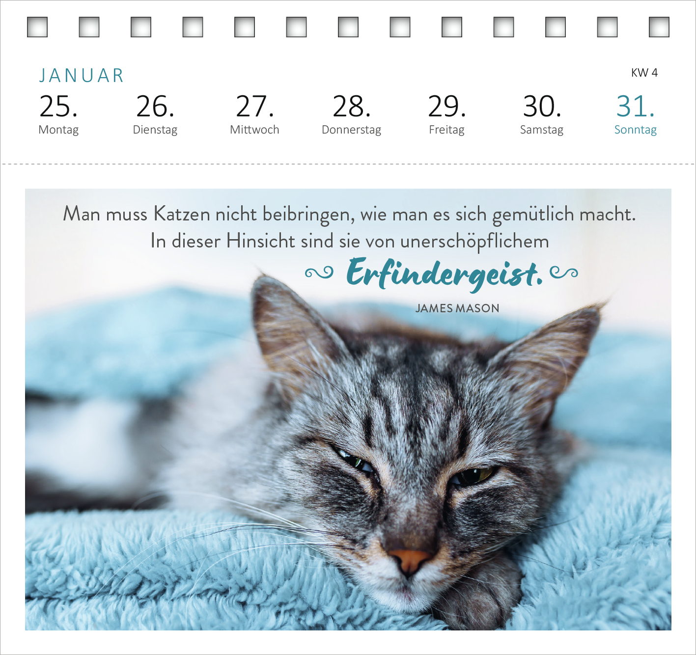 Gezeigt wird eine Innen- oder Zusatzansicht von „Postkartenkalender Katzenweisheiten 2027“. Der Kalender zeigt eine stilisierte Abbildung einer entspannten Katze auf einem hellblauen Hintergrund. Darüber steht der Spruch: „Man muss Katzen nicht beibringen, wie man es sich gemütlich macht. In dieser Hinsicht sind sie von unerschöpflichem Erfindergeist.“ Die Schrift ist abwechslungsreich gestaltet, mit einer verspielten Typografie für das Zitat und klaren, modernen Schriftarten für...