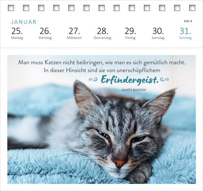 Gezeigt wird eine Innen- oder Zusatzansicht von „Postkartenkalender Katzenweisheiten 2027“. Der Kalender zeigt eine stilisierte Abbildung einer entspannten Katze auf einem hellblauen Hintergrund. Darüber steht der Spruch: „Man muss Katzen nicht beibringen, wie man es sich gemütlich macht. In dieser Hinsicht sind sie von unerschöpflichem Erfindergeist.“ Die Schrift ist abwechslungsreich gestaltet, mit einer verspielten Typografie für das Zitat und klaren, modernen Schriftarten für...