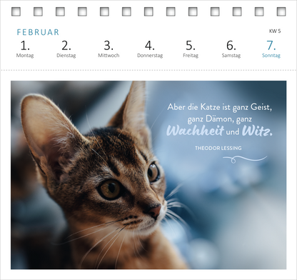 Gezeigt wird eine Innen- oder Zusatzansicht von „Postkartenkalender Katzenweisheiten 2027“. Die Ansicht zeigt eine stilvolle Darstellung eines katzengesichtes mit großen, ausdrucksvollen Augen auf einem sanften, verschwommenen Hintergrund. Oben sind die Wochentage sowie der Monat Februar in klarer, einfacher Typografie dargestellt. Im unteren Bereich steht das Zitat „Aber die Katze ist ganz Geist, ganz Dämon, ganz Wahrheit und Witz“ von Theodor Lessing in eleganter Schrift, kombiniert...