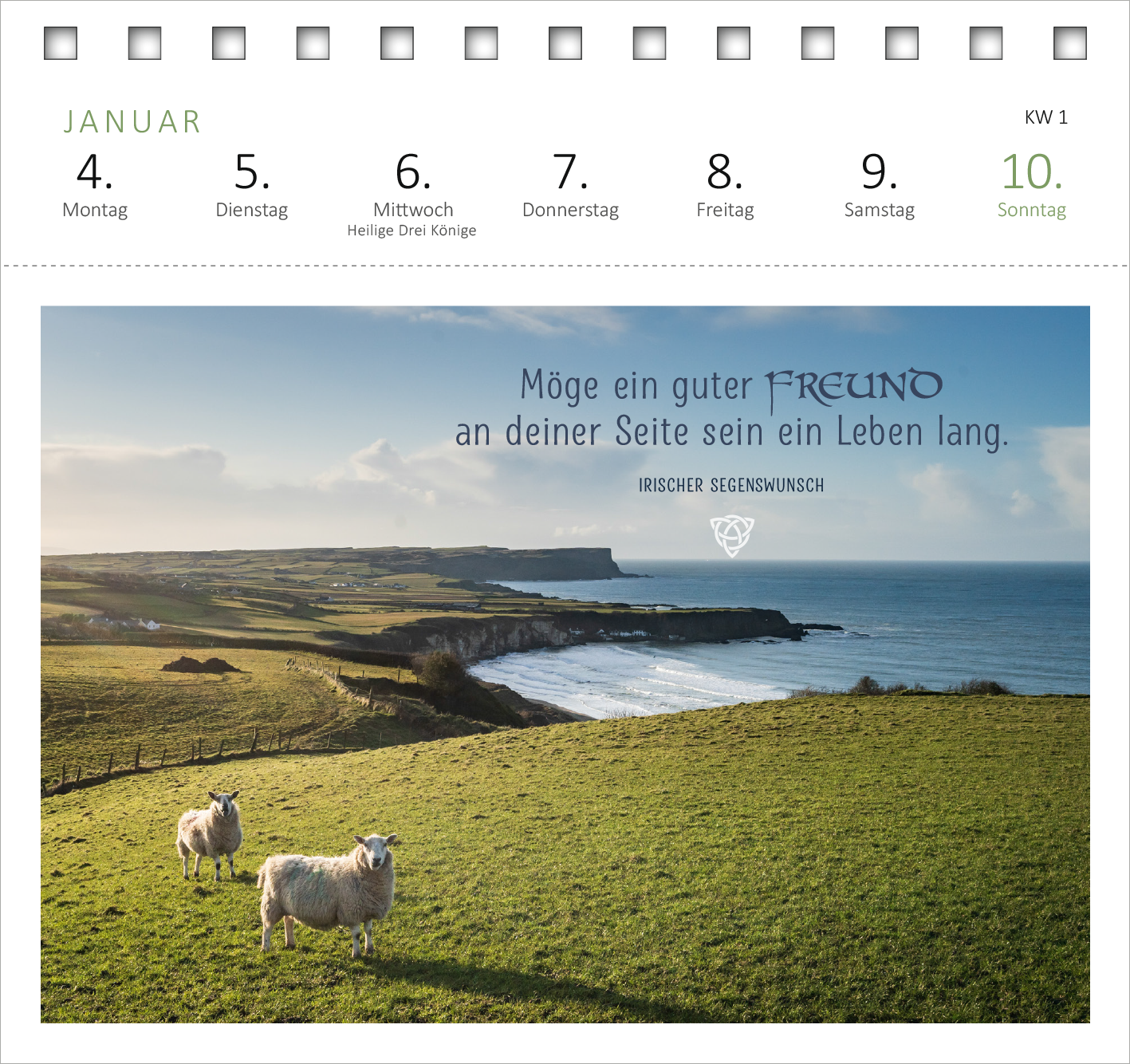 Gezeigt wird eine Innen- oder Zusatzansicht von „Postkartenkalender Irische Segenswünsche 2027“. Die Darstellung zeigt eine grüne Hügellandschaft mit zwei Schafen im Vordergrund und einem weiten Blick auf die Küste im Hintergrund. Oben links sind die Wochentage für die erste Kalenderwoche aufgelistet, während der Segenswunsch in geschwungener Schrift verfasst ist: „Möge ein guter FREUND an deiner Seite sein ein Leben lang.“ Die Farben sind sanft und harmonisch, wobei Blau- und...