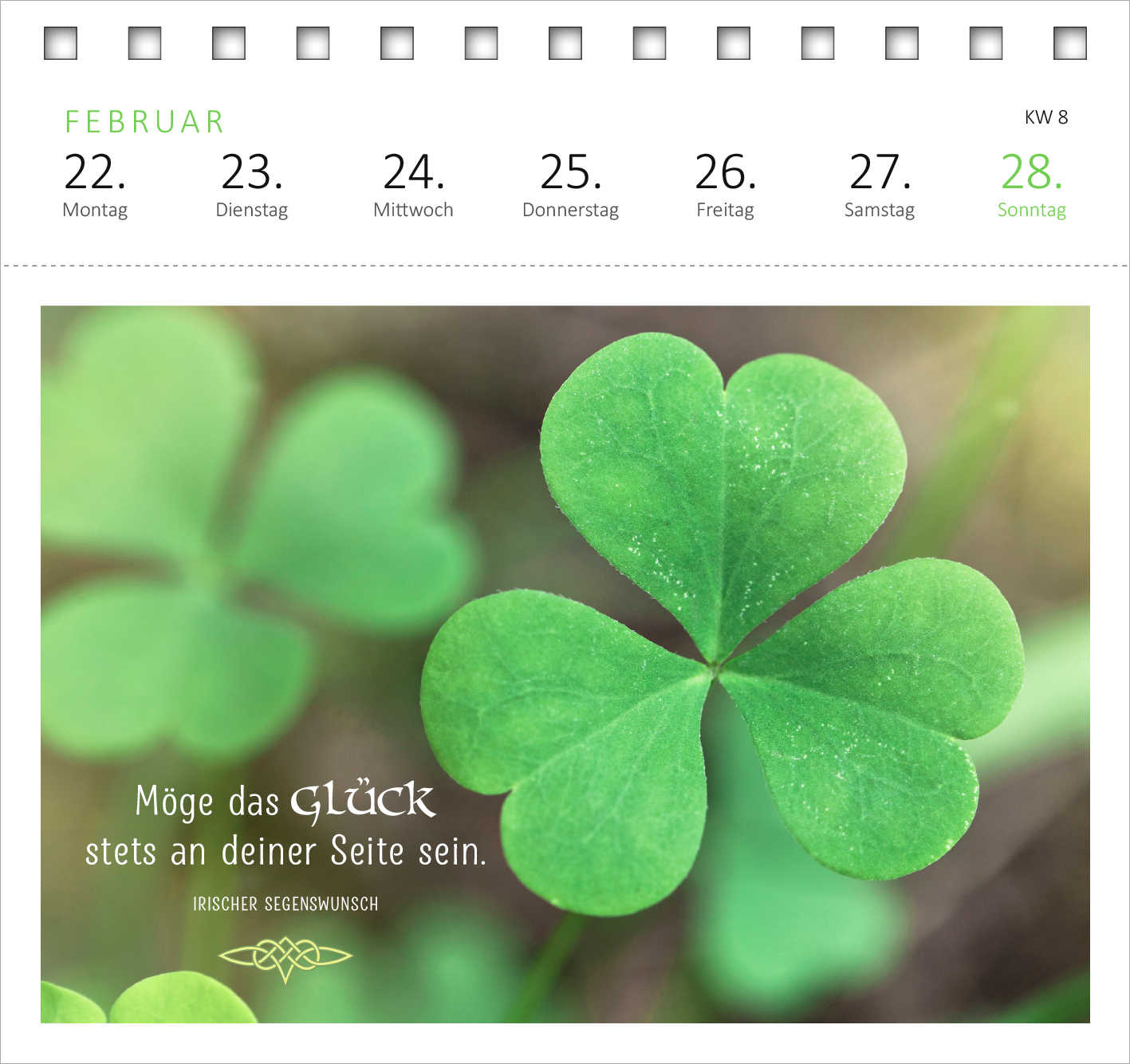 Gezeigt wird eine Innen- oder Zusatzansicht von „Postkartenkalender Irische Segenswünsche 2027“. Die Seite präsentiert ein üppiges grünes Kleeblatt in Herzform, umgeben von einem sanften, unscharfen Hintergrund. Oberhalb ist der Monat „FEBRUAR“ sowie die Kalenderwoche „KW 8“ in klaren, weißen Großbuchstaben abgedruckt. Darunter stehen die Wochentage in kleiner, stilvoller Schrift. Der Segenswunsch „Möge das GLÜCK stets an deiner Seite sein“ ist in einer eleganten,...