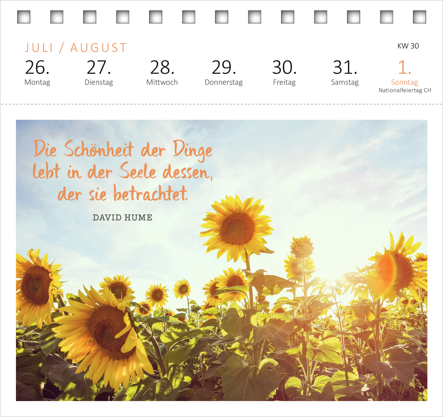 Gezeigt wird eine Innen- oder Zusatzansicht von „Postkartenkalender Ich wünsch dir was 2027“. Im Vordergrund sind leuchtende Sonnenblumen zu sehen, die unter einem warmen, sonnigen Himmel blühen. Darüber steht in verspielter, orangener Schrift das Zitat „Die Schönheit der Dinge lebt in der Seele dessen, der sie betrachtet“, gefolgt vom Namen DAVID HUME in schlichterer Schrift. Die Farben sind überwiegend hell und freundlich, was eine positive Stimmung vermittelt.