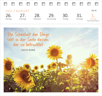 Gezeigt wird eine Innen- oder Zusatzansicht von „Postkartenkalender Ich wünsch dir was 2027“. Im Vordergrund sind leuchtende Sonnenblumen zu sehen, die unter einem warmen, sonnigen Himmel blühen. Darüber steht in verspielter, orangener Schrift das Zitat „Die Schönheit der Dinge lebt in der Seele dessen, der sie betrachtet“, gefolgt vom Namen DAVID HUME in schlichterer Schrift. Die Farben sind überwiegend hell und freundlich, was eine positive Stimmung vermittelt.