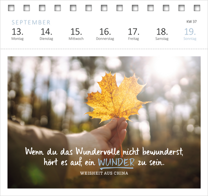 Gezeigt wird eine Innen- oder Zusatzansicht von „Postkartenkalender Ich wünsch dir was 2027“. Die Seite präsentiert einen weichen, hellen Hintergrund, auf dem eine Hand ein leuchtend gelbes Blatt hält. Darunter steht in geschwungener Schrift der Spruch: „Wenn du das Wundervolle nicht bewunderst, hört es auf, ein WUNDER zu sein.“ Darunter folgt der Hinweis „WEISHEIT AUS CHINA“ in einfacher Schrift. Oben sind die Kalenderdaten in sanften Farben angeordnet.