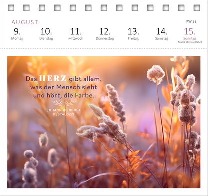 Gezeigt wird eine Innen- oder Zusatzansicht von „Postkartenkalender 365 Tage Sonne im Herzen 2027“.