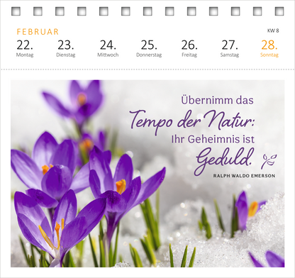 Gezeigt wird eine Innen- oder Zusatzansicht von „Postkartenkalender Gartenglück 2027“. Die Seite präsentiert eine elegante Anordnung von lila Krokussen, die aus Schnee wachsen. Oben sind die Wochentage von Montag bis Sonntag in einer klaren, modernen Typografie abgebildet. Der Monatsname „Februar“ ist deutlich hervorgehoben. Der inspirierende Text „Übernimm das Tempo der Natur: Ihr Geheimnis ist Geduld.“ ist in einer geschwungenen Schriftart verfasst, begleitet von der Angabe...