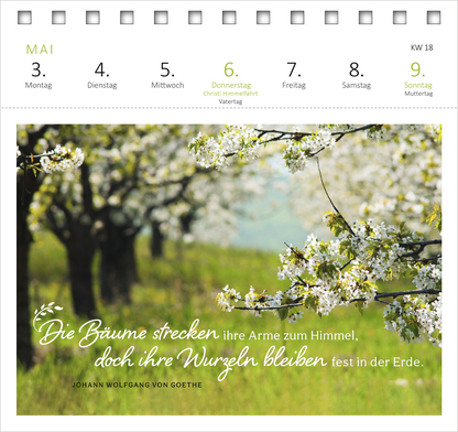 Gezeigt wird eine Innen- oder Zusatzansicht von „Postkartenkalender Gartenglück 2027“. Die Ansicht zeigt den Monat Mai mit einer sanften, grünen Wiese und blühenden Bäumen im Hintergrund. In der unteren Bildhälfte steht ein Zitat von Johann Wolfgang von Goethe in eleganter, handgeschriebener Schrift: „Die Bäume strecken ihre Arme zum Himmel, doch ihre Wurzeln bleiben fest in der Erde.“ Die Wochentage sind in klarer, moderner Typografie aufgelistet, wobei der Donnerstag...
