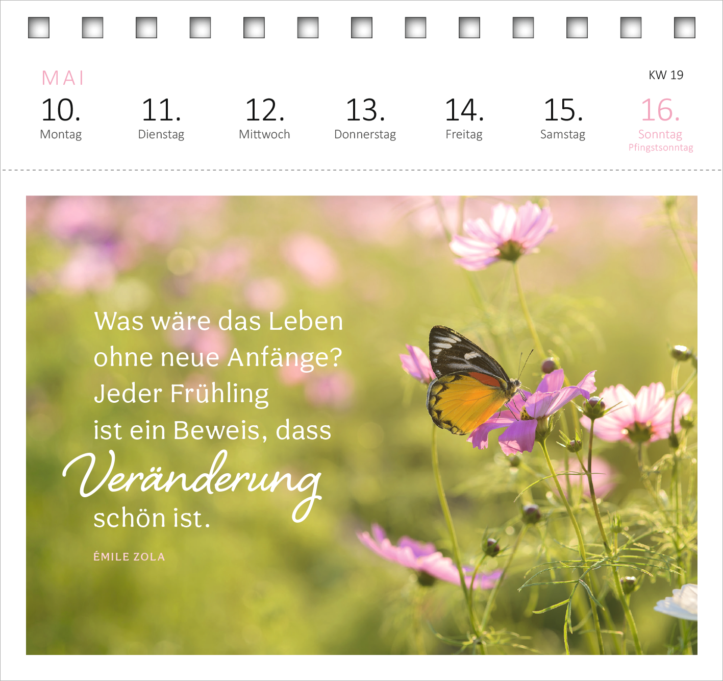 Gezeigt wird eine Innen- oder Zusatzansicht von „Postkartenkalender Gartenglück 2027“. Die Seite zeigt einen zarten Hintergrund in sanften Grüntönen, verziert mit blühenden Blumen. Im Vordergrund sitzt ein Schmetterling auf einer Blüte. Über diese natürliche Szenerie erstreckt sich der handschriftlich gestaltete Text: „Was wäre das Leben ohne neue Anfänge? Jeder Frühling ist ein Beweis, dass Veränderung schön ist.“ Die Typografie ist klar und freundlich, unterstützt von...