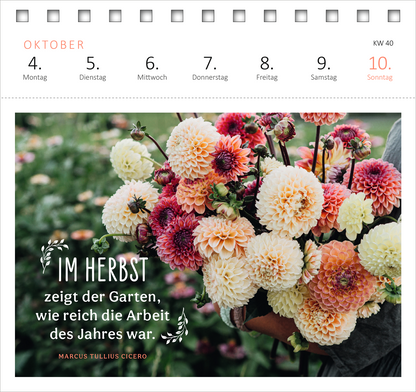 Gezeigt wird eine Innen- oder Zusatzansicht von „Postkartenkalender Gartenglück 2027“. Im Fokus stehen bunte Dahlien in verschiedenen Farben, die in Händen gehalten werden. Darunter steht in eleganter, handschriftlicher Schrift „IM HERBST“, gefolgt von einem Zitat von Marcus Tullius Cicero in schlichter Typografie. Der Hintergrund ist leicht verschwommen, was die Blumen hervorhebt, während der obere Teil des Kalenders die Wochentage und den Monat Oktober in klarer, moderner Schrift...