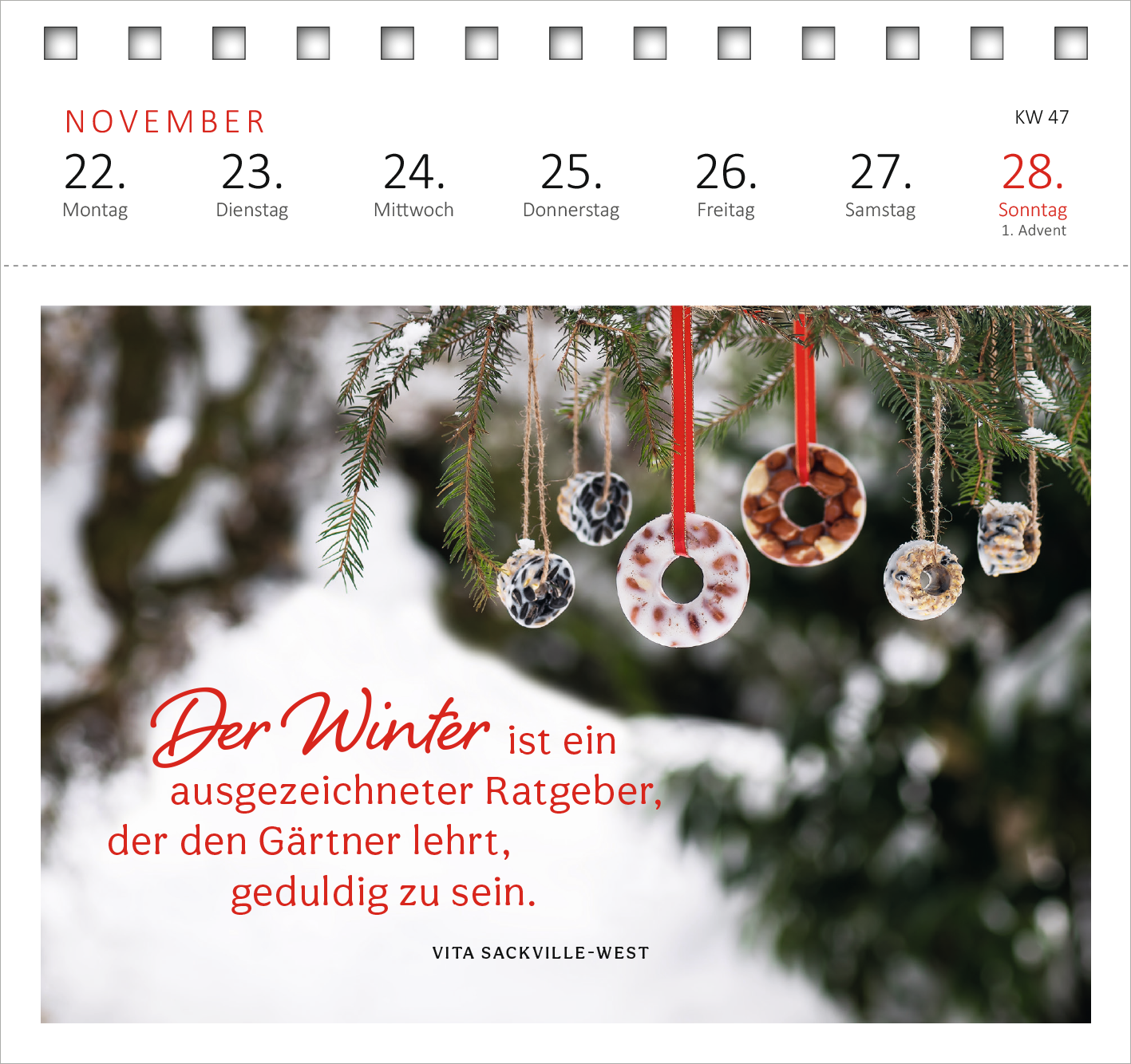 Gezeigt wird eine Innenansicht von „Postkartenkalender Gartenglück 2027“. Die Seite ist in sanften, winterlichen Farbtönen gestaltet, mit einer Abbildung von Tannenzweigen, an denen unterschiedlich gefärbte und texturierte Ringe hängen. Der zentrale Text „Der Winter ist ein ausgezeichneter Ratgeber, der den Gärtner lehrt, geduldig zu sein.“ ist in einer modernen, eleganten Schriftart in roter Farbe gehalten. Darunter steht der Name der Autorin, Vita Sackville-West, in einer...