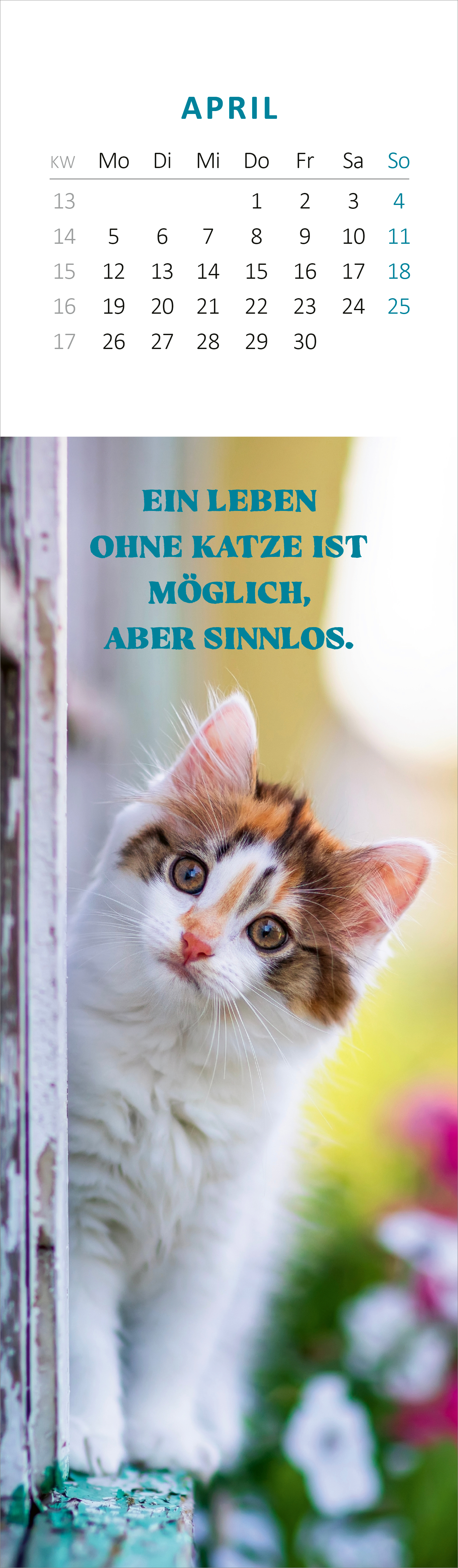Gezeigt wird eine Innen- oder Zusatzansicht von „Lesezeichenkalender Katzenglück 2027“. Auf der Seite für den Monat April ist ein verspieltes Kätzchen abgebildet, das neugierig aus einem Fenster schaut. Die Hintergrundfarbe ist hell und sanft, während der Spruch „Ein Leben ohne Katze ist möglich, aber sinnlos“ in einer auffälligen türkisblauen Schrift in der Mitte platziert ist. Die Typografie ist modern und gut lesbar, die gesamte Gestaltung vermittelt eine freundliche und...