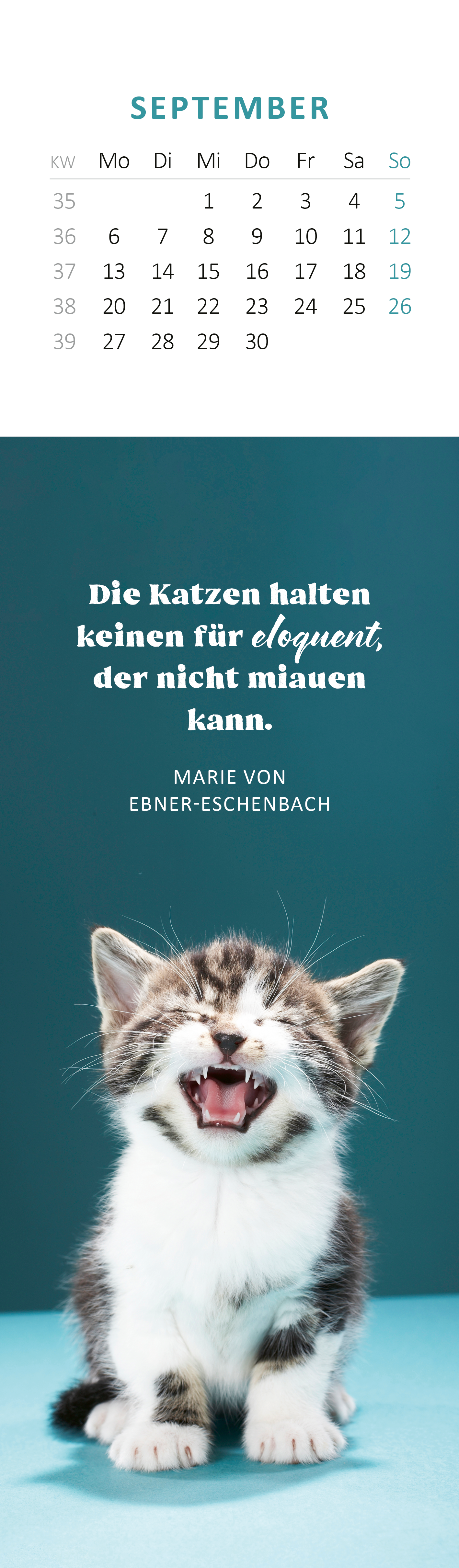 Gezeigt wird eine Innen- oder Zusatzansicht von „Lesezeichenkalender Katzenglück 2027“. Der Kalender zeigt im Monat September einen fröhlichen, gestreiften Kätzchenkopf vor einem türkisfarbenen Hintergrund. Oberhalb befindet sich eine Monatsübersicht mit den Wochentagen und Daten in schlichten, gut lesbaren Zahlen. Darunter steht ein Zitat von Marie von Ebner-Eschenbach in eleganter, weißer Schrift, das durch die klare Typografie hervorgehoben wird.