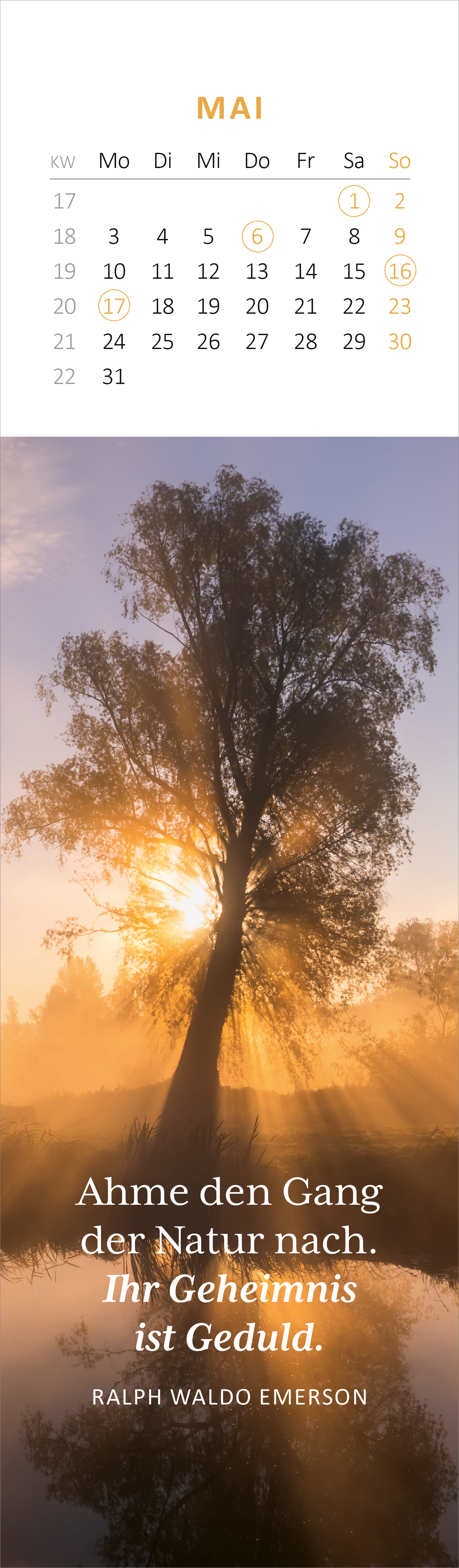 Gezeigt wird eine Innen- oder Zusatzansicht von „Lesezeichenkalender Weisheiten der Bäume 2027“. Im oberen Bereich des Kalenders befindet sich eine Monatsübersicht für Mai mit Wochentagen in Schwarz auf hellem Hintergrund. Darunter ist ein wunderschönes Foto eines Baumes in sanftem Licht, umgeben von Nebel. In der unteren Hälfte wird ein Zitat von Ralph Waldo Emerson in eleganter, grauer Schrift präsentiert: „Ahme den Gang der Natur nach. Ihr Geheimnis ist Geduld.“ Der...