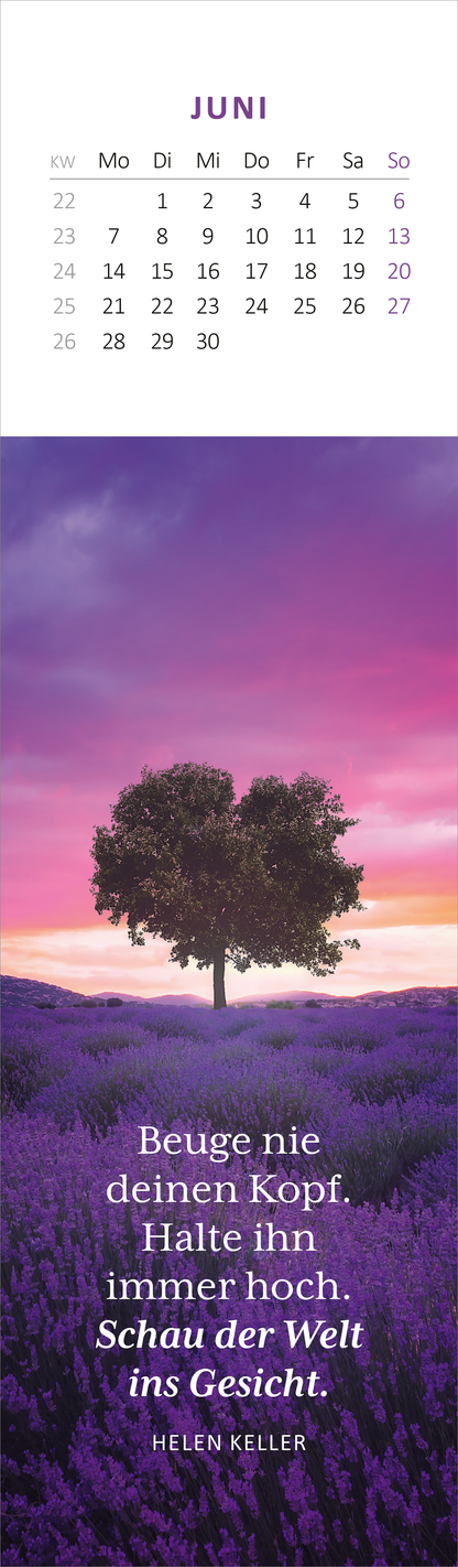Gezeigt wird eine Innen- oder Zusatzansicht von „Lesezeichenkalender Weisheiten der Bäume 2027“. Die Darstellung zeigt einen malerischen Hintergrund in sanften Lila- und Rosatönen, ergänzt durch einen prächtigen Baum in der Mitte. Unter dem Baum steht der inspirierende Spruch: „Beuge nie deinen Kopf. Halte ihn immer hoch. Schau der Welt ins Gesicht.“ Die Schrift ist klar und elegant, was die Botschaft unterstreicht. Oben ist ein Kalendermonat in traditioneller Typografie abgebildet.