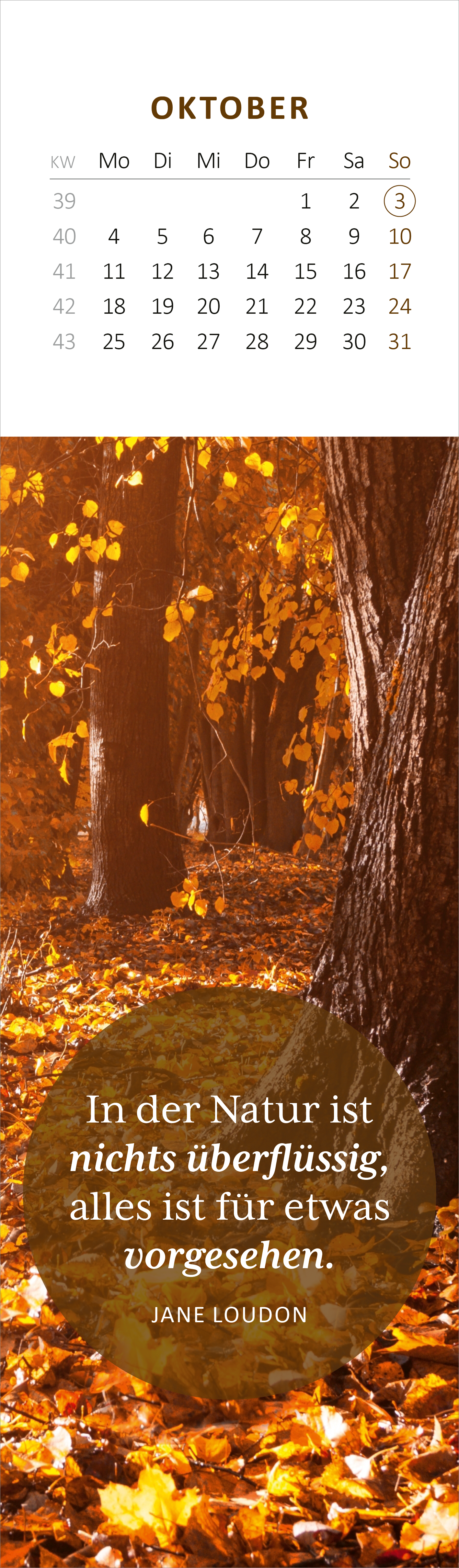 Gezeigt wird eine Innen- oder Zusatzansicht von „Lesezeichenkalender Weisheiten der Bäume 2027“. Die Ansicht zeigt den Monat Oktober mit einem warmen, herbstlichen Farbton in Gelb- und Orangetönen. In der oberen Hälfte befindet sich ein strukturiertes Kalendarium mit Wochentagen und Zahlen. In der unteren Hälfte steht das Zitat „In der Natur ist nichts überflüssig, alles ist für etwas vorgesehen“ von Jane Loudon in klarer, eleganter Typografie auf einem dunkleren, runden...