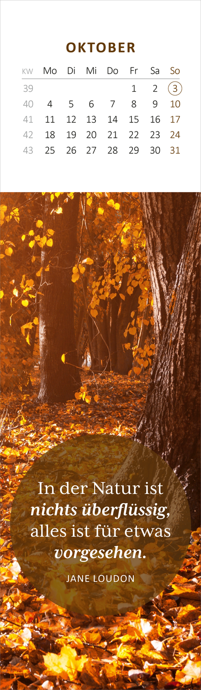 Gezeigt wird eine Innen- oder Zusatzansicht von „Lesezeichenkalender Weisheiten der Bäume 2027“. Die Ansicht zeigt den Monat Oktober mit einem warmen, herbstlichen Farbton in Gelb- und Orangetönen. In der oberen Hälfte befindet sich ein strukturiertes Kalendarium mit Wochentagen und Zahlen. In der unteren Hälfte steht das Zitat „In der Natur ist nichts überflüssig, alles ist für etwas vorgesehen“ von Jane Loudon in klarer, eleganter Typografie auf einem dunkleren, runden...