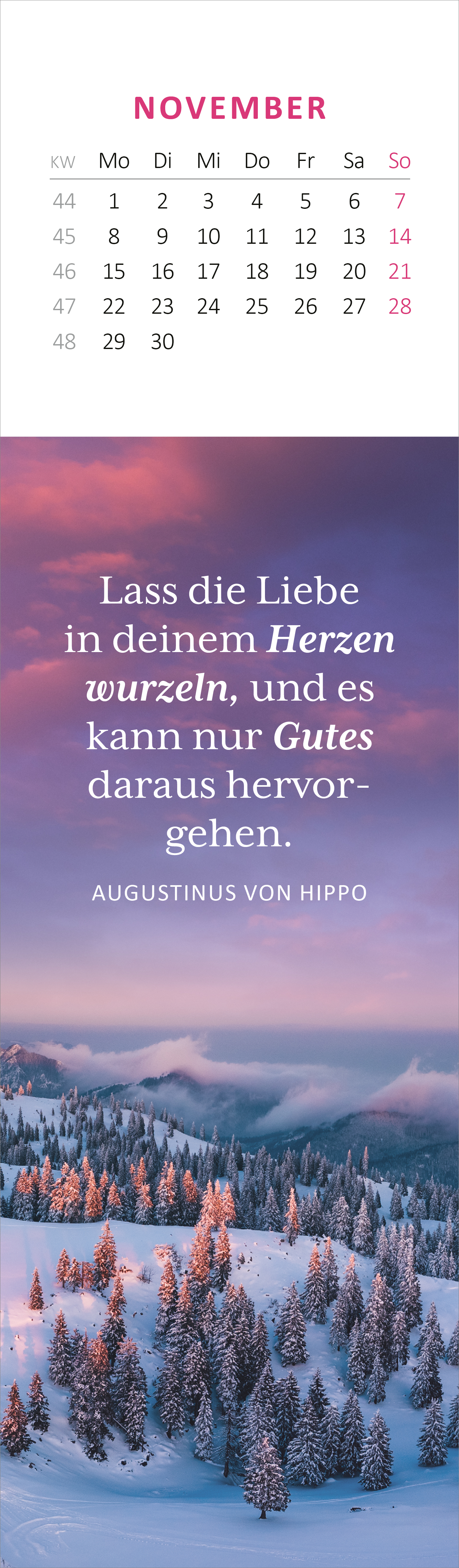 Gezeigt wird eine Innen- oder Zusatzansicht von „Lesezeichenkalender Weisheiten der Bäume 2027“. Die Darstellung umfasst einen Monatskalender für November, der in sanften Farben gehalten ist. Oben sind die Wochentage auf rotem Hintergrund in weißer Schrift angeordnet. Darunter befindet sich ein Zitat von Augustinus von Hippo in eleganter, großer Schrift und einer dunklen Farbe auf einem sanften, farbenfrohen Hintergrund mit schneebedeckten Bäumen. Die Typografie ist klar und gut lesbar.