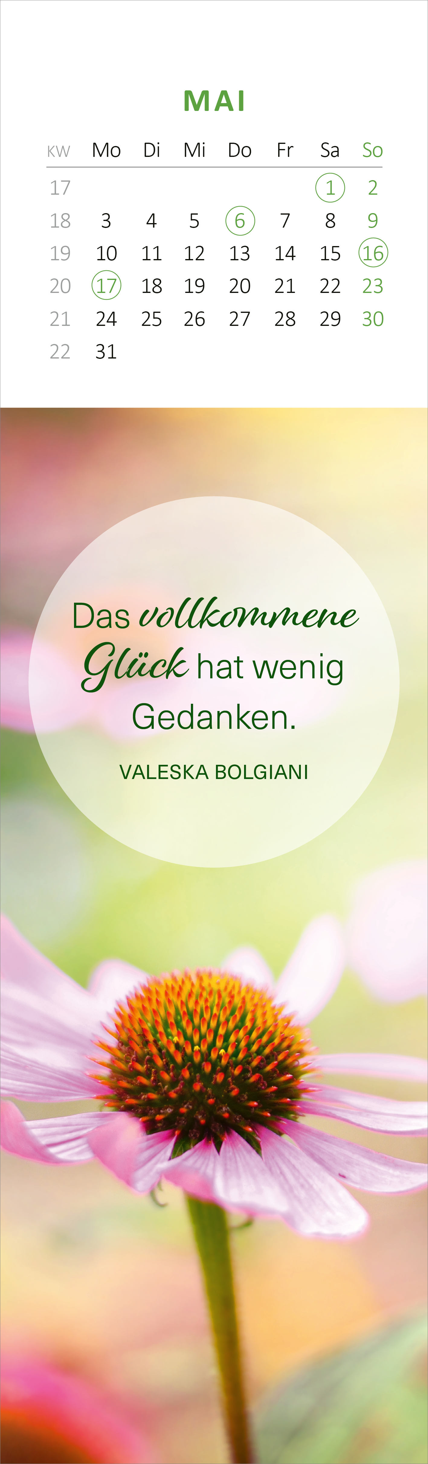 Gezeigt wird eine Innen- oder Zusatzansicht von „Lesezeichenkalender Glücksmomente für die Seele 2027“. Der Kalender präsentiert auf einer sanft verschwommenen Hintergrundlandschaft in zarten Rosatönen eine Blüte im Vordergrund. Darauf steht in eleganter, grüner Schrift: „Das vollkommene Glück hat wenig Gedanken.“ Unterhalb der Aussage ist der Name „VALESKA BOLGIANI“ in schlichter Schrift ausgeführt. Am oberen Rand ist der Monat Mai mit Wochentagen und Kalenderdaten...