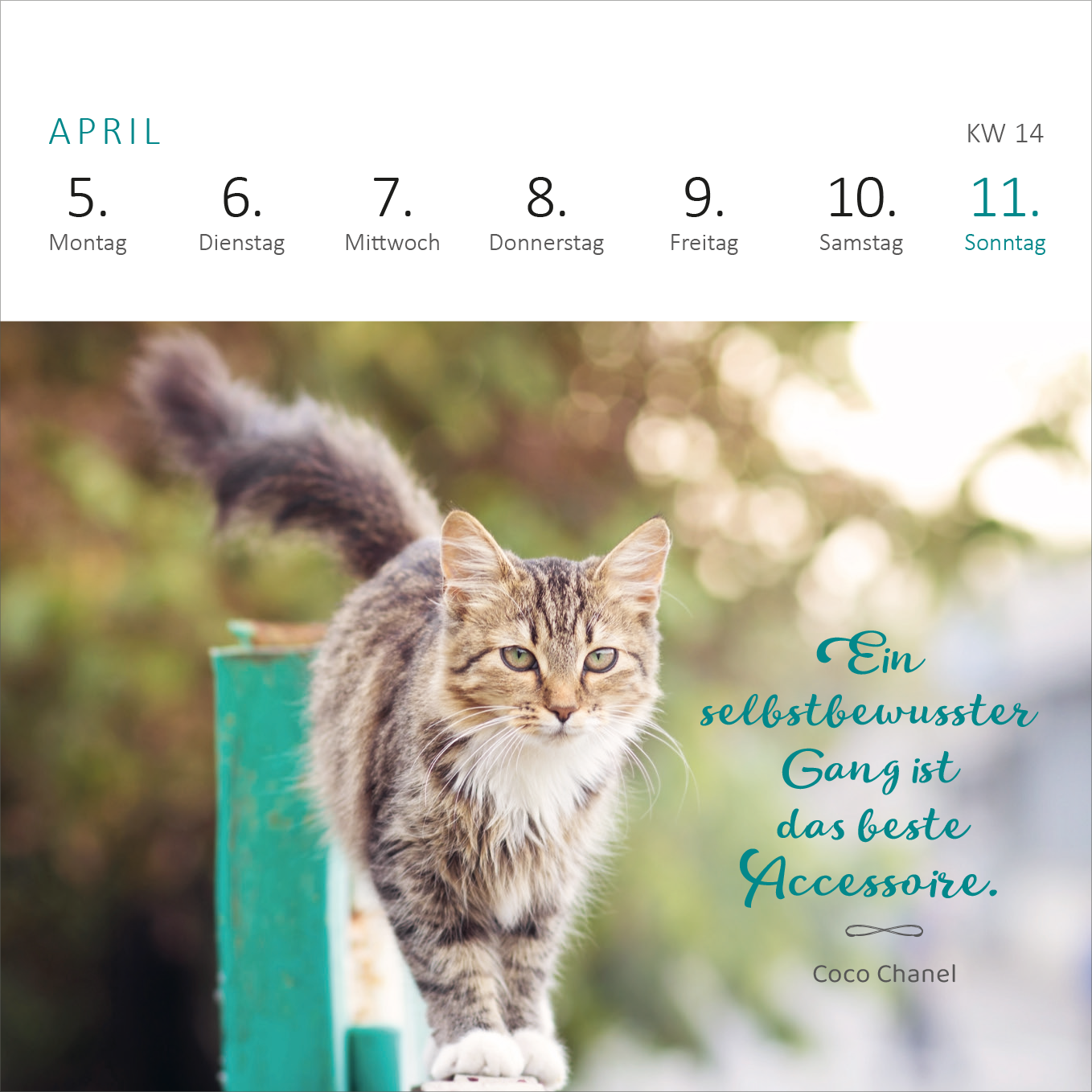 Gezeigt wird eine Innen- oder Zusatzansicht von „Mini-Wochenkalender Katzenweisheiten 2027“. Die Ansicht präsentiert einen klar strukturierten Kalender für den Monat April, wobei die Wochentage in einer schlichten schwarzen Typografie hervorgehoben sind. Ein süßes Katzenmotiv in sanften Naturtönen dominiert die Seite, während ein Zitat von Coco Chanel in geschwungener, türkisfarbener Schrift gestaltet ist. Der Gesamteindruck vermittelt eine freundliche Atmosphäre und spricht...
