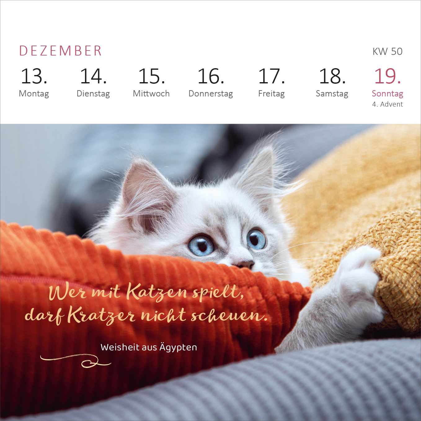 Gezeigt wird eine Innen- oder Zusatzansicht von „Mini-Wochenkalender Katzenweisheiten 2027“. Die Ansicht zeigt ein Katzenmotiv mit einem neugierigen, grauweißen Kätzchen, das auf einem orangefarbenen Kissen sitzt. Darunter steht im geschwungenen, weißen Schriftzug: „Wer mit Katzen spielt, darf Kratzer nicht scheuen.“ Die Wochentage sind in einem klaren, modernen Schriftstil angeordnet, während der Monat Dezember in einer zarten Rosatönung hervorgehoben ist.