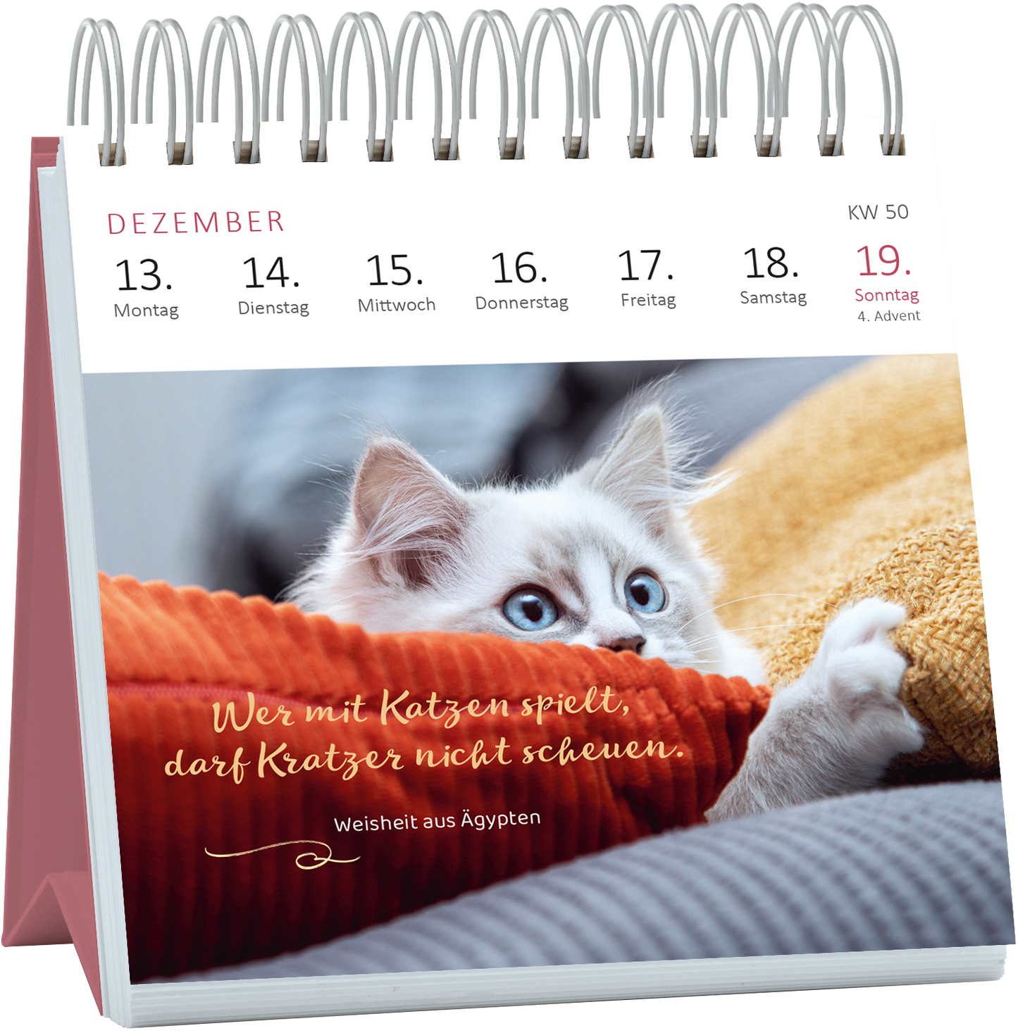 Gezeigt wird eine Innen- oder Zusatzansicht von „Mini-Wochenkalender Katzenweisheiten 2027“. Auf der Seite für Dezember ist ein süßes Kätzchen abgebildet, das neugierig aus einem roten Kissen schaut. Der Hintergrund enthält sanfte, verschwommene Farben. Über dem Bild steht in verspielter, weißer Schrift der Spruch „Wer mit Katzen spielt, darf Kratzer nicht scheuen.“ Darunter ist die Quellenangabe „weisheit aus Ägypten“ in kleinerer, goldfarbener Typografie. Der Kalender hat...