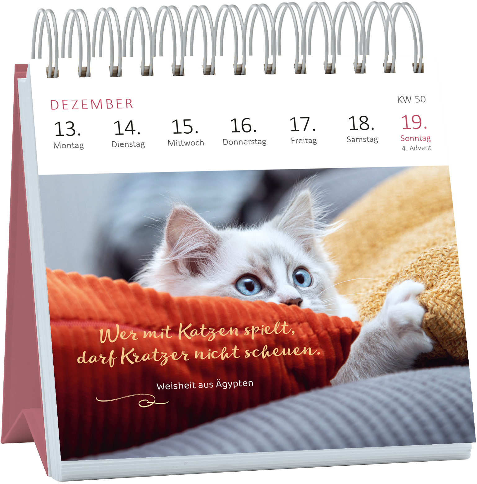 Gezeigt wird eine Innen- oder Zusatzansicht von „Mini-Wochenkalender Katzenweisheiten 2027“. Auf der Seite für Dezember ist ein süßes Kätzchen abgebildet, das neugierig aus einem roten Kissen schaut. Der Hintergrund enthält sanfte, verschwommene Farben. Über dem Bild steht in verspielter, weißer Schrift der Spruch „Wer mit Katzen spielt, darf Kratzer nicht scheuen.“ Darunter ist die Quellenangabe „weisheit aus Ägypten“ in kleinerer, goldfarbener Typografie. Der Kalender hat...