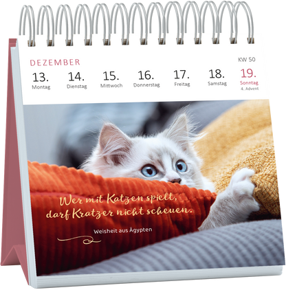 Gezeigt wird eine Innen- oder Zusatzansicht von „Mini-Wochenkalender Katzenweisheiten 2027“. Auf der Seite für Dezember ist ein süßes Kätzchen abgebildet, das neugierig aus einem roten Kissen schaut. Der Hintergrund enthält sanfte, verschwommene Farben. Über dem Bild steht in verspielter, weißer Schrift der Spruch „Wer mit Katzen spielt, darf Kratzer nicht scheuen.“ Darunter ist die Quellenangabe „weisheit aus Ägypten“ in kleinerer, goldfarbener Typografie. Der Kalender hat...