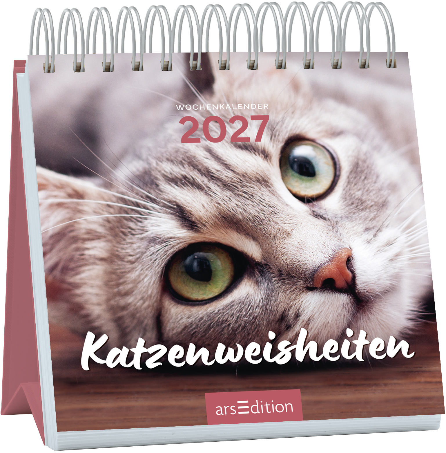 Auf dem Cover des Wochenkalenders „Katzenweisheiten“ 2027 ist eine ansprechende Nahaufnahme einer grauen Katze mit großen, ausdrucksvollen Augen zu sehen. Der Hintergrund ist sanft verschwommen und sorgt für eine harmonische Atmosphäre. Der Titel „Katzenweisheiten“ ist in einer freundlichen, weißen Schriftart platziert und verleiht dem Cover einen einladenden Charakter. Oben steht in dezentem Rot „WOCHENKALENDER 2027“. Ganz unten mittig steht der Logoschriftzug von arsEdition.