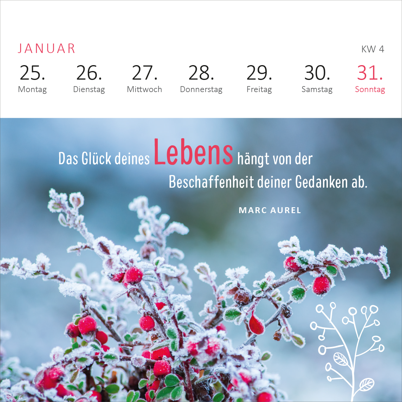Gezeigt wird eine Innen- oder Zusatzansicht von „Mini-Wochenkalender Ein Jahr voll Glück 2027“. Die Ansicht präsentiert eine Monatsübersicht für Januar mit einer klaren, modernen Typografie. Die Wochentage sind übersichtlich in roter Schrift hervorgehoben. Im unteren Bereich befindet sich ein Zitat von Marc Aurel in stilvollem Schwarz, das in den Fokus gerückt wird. Ein sanft verschwommener Hintergrund zeigt mit Frost überzogene Pflanzen, die zusätzliche emotionale Tiefe und eine...