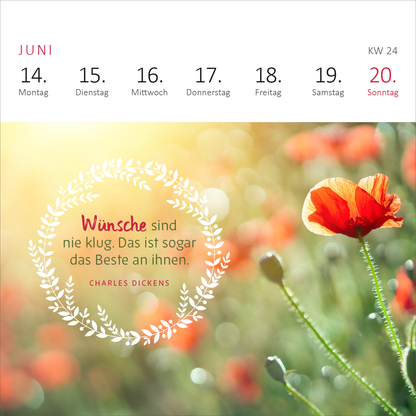 Gezeigt wird eine Innen- oder Zusatzansicht von „Mini-Wochenkalender Ich wünsch dir was 2027“. Der Kalender zeigt die Woche 24 im Juni, mit rot hervorgehobenen Wochentagen, die in klarer Typografie angeordnet sind. Im unteren Bereich steht ein Zitat von Charles Dickens in schwarzer Schrift, umgeben von einer eleganten, weißen Blumenkranz-Dekoration. Der Hintergrund zeigt eine unscharfe, leuchtende Wiese mit Mohnblumen, die warme und freundliche Farben ausstrahlen.