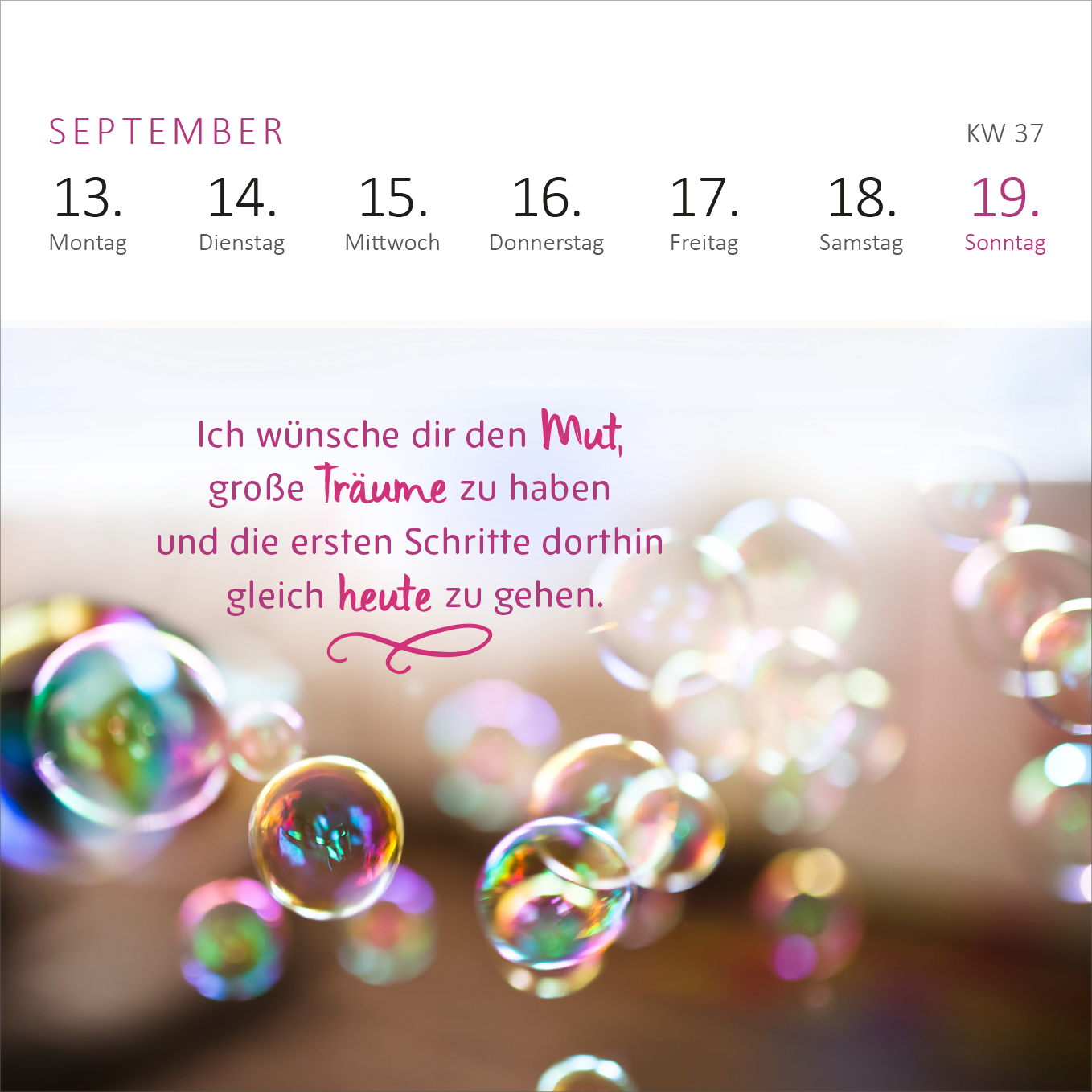 Gezeigt wird eine Innen- oder Zusatzansicht von „Mini-Wochenkalender Ich wünsch dir was 2027“. Die Ansicht zeigt die Kalenderwoche 37 mit dem Monat September in sanften Farbtönen. Die Wochentage sind in schwarz und weiß aufgelistet, während die Zahl 19 farblich hervorgehoben ist. Im unteren Bereich befindet sich ein inspirierender Spruch in geschwungener Schrift, der in einem warmen Rosa verfasst ist. Im Hintergrund erscheinen schimmernde Seifenblasen, die eine spielerische Atmosphäre...